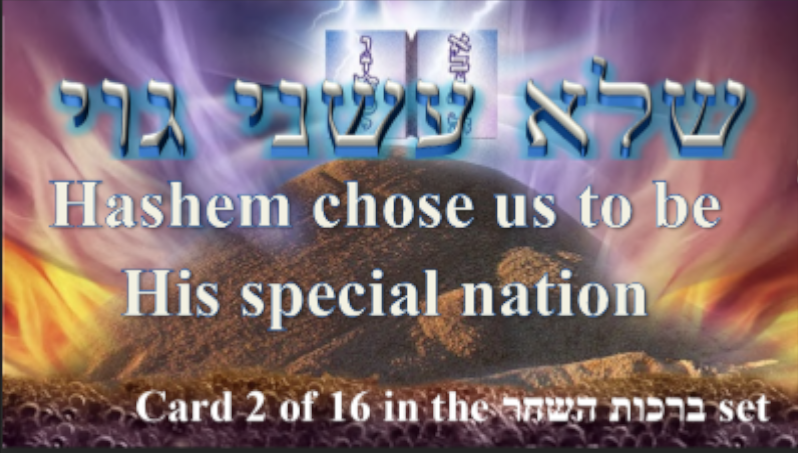 Sample Torah Card